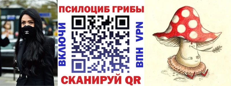 Псилоцибиновые грибы прущие грибы  Каменск-Шахтинский 